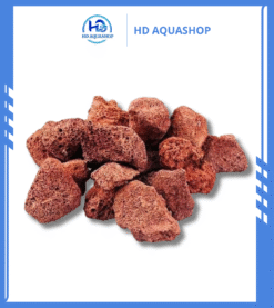 Đá Nham Thạch - Vật Liệu Lọc Nuôi Vi Sinh (1kg)