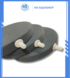 Đĩa Sủi Đá Siêu Mịn Oxy Cho Bể Hồ Cá Cảnh, Cá Koi