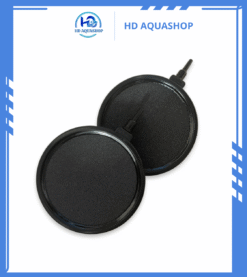 Đĩa Sủi Mịn Đá Cho Bể Cá Cảnh, Cá Koi Có Viền Phi 26