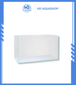 bể kính bể cá siêu trong