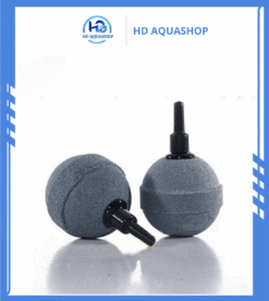 cục sủi tròn