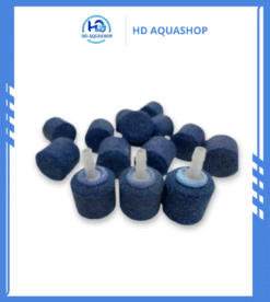 Quả Sủi Mịn Oxy