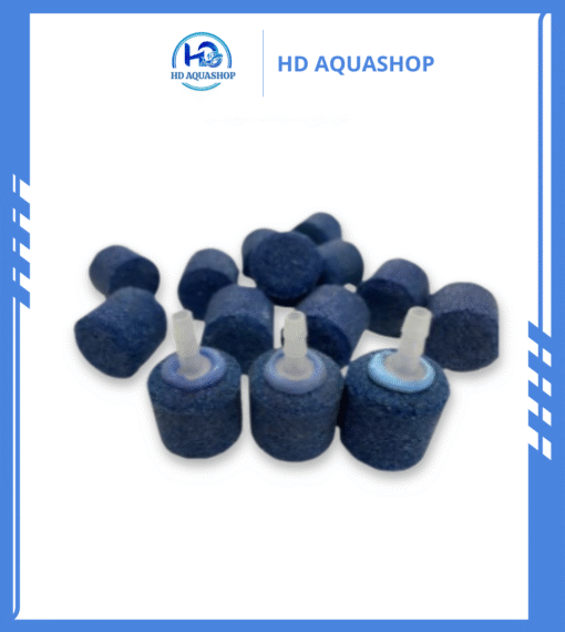 Quả Sủi Mịn Oxy
