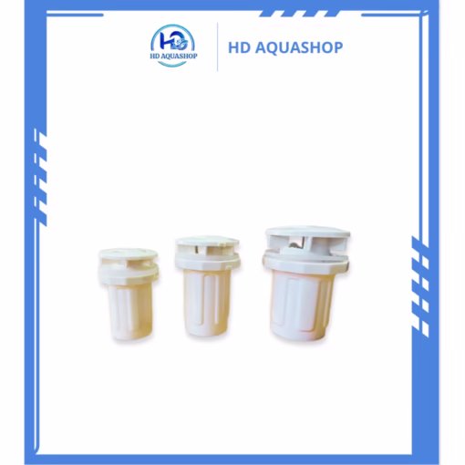 Nấm hút đáy thẳng